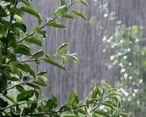 ال‌نینو بر کشور حاکم می‌شود/ پیش‌بینی بارش‌های مطلوب پاییزی