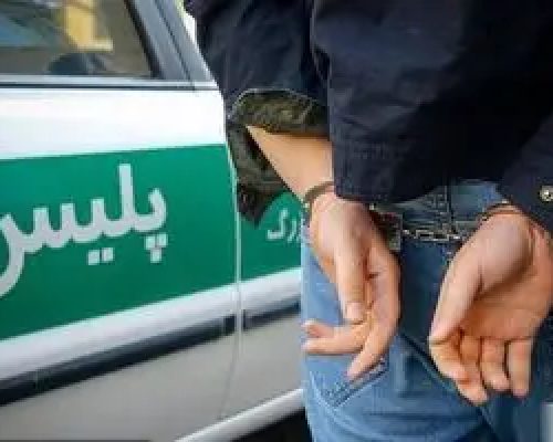 زمین گیر شدن ۴۷ سارق حرفه‌ای با شلیک پلیس/ دستگیری بیش از ۳ هزار سارق