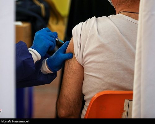 2367 مورد تزریق واکسن هاری از ابتدای طرح سلامت نوروزی تاکنون