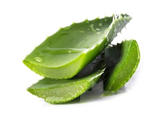 8-دارو-گیاهی-برای-معده-درد2
