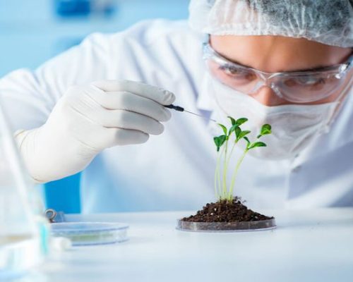 Biotechnology-edit-1