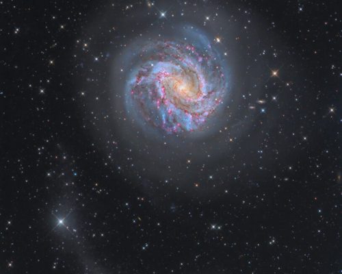 M83