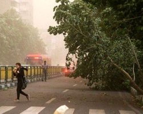 آلودگی هوا از شنبه برمی گردد