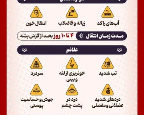 اینفوگرافیک/ آیا بیماری تب دنگی کشنده است؟