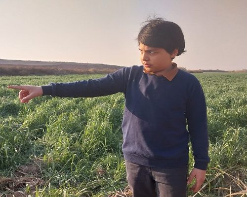 هنر نیوز - اگر روزی بازیگر معروفی شدیم به همه کمک می کنیم