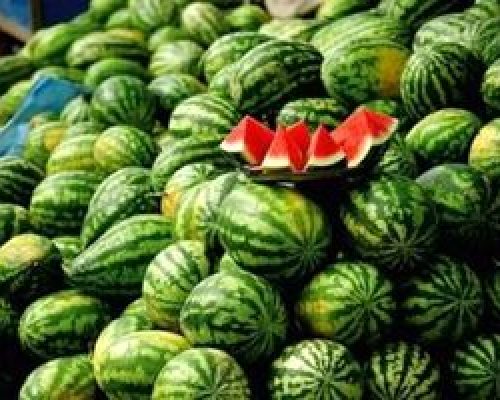 این هندوانه‌ ها را نخورید؛ مسموم می‌شوید