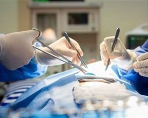 بازار جراحی‌های زیبایی؛ از شباهت به حیوانات تا عمل‌های عجیب