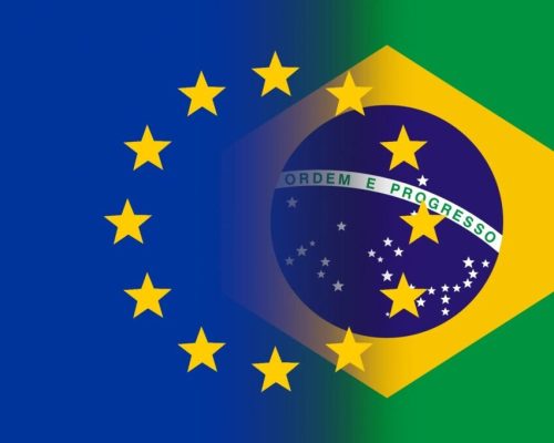 شبکه اجتماعی ایکس