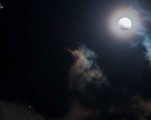 تصویر روز ناسا: مشتری در کنار مهتاب