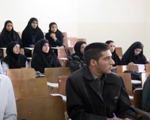تعداد دانشجویان در گروه های مختلف تحصیلی/ اینفوگرافیک