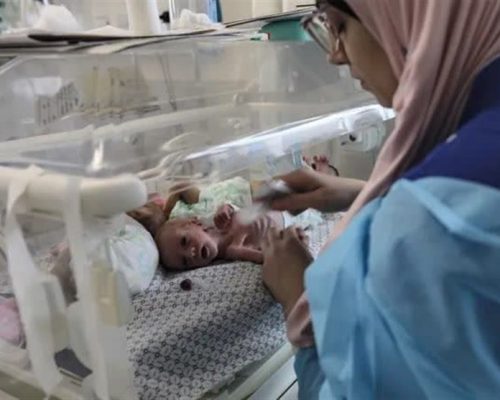 تلاش برای ثبت جهانی 8 آذر به عنوان روز کشتار نوزادان غزه