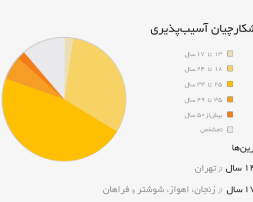 تنها ۲.۵ درصد از هکرهای کلاه سفید را زنان تشکیل می‌دهند