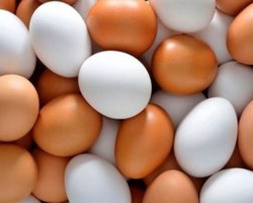 جدیدترین قیمت تخم‌مرغ، شکر و گوشت