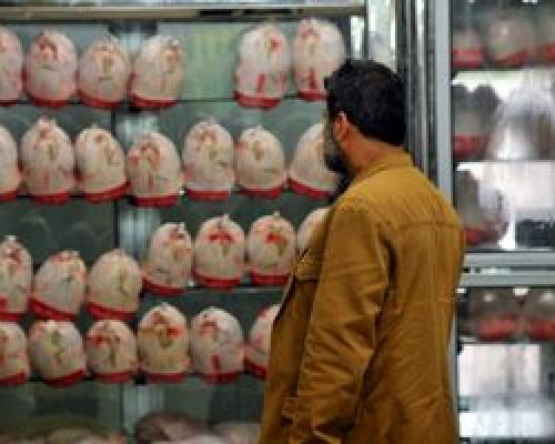 جدیدترین قیمت مرغ در بازار