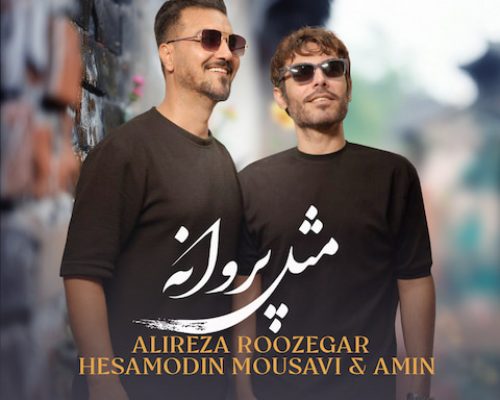 دانلود آهنگ من دلم میره واسه شب زنده داری از علیرضا روزگار