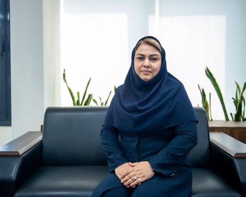 سرویس جدید «پل پی» مبتنی بر شماره حساب افراد تا پایان سال در دسترس قرار می‌گیرد
