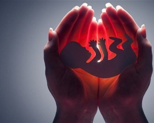 سقط جنین های غیرقانونی را به این شماره اعلام کنید