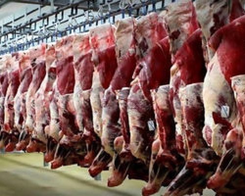 صعود قیمت دام زنده گوسفندی