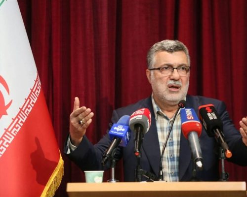 ظفرقندی: بسیاری از خانواده‌ها مشکل مالی ندارند اما به فکر فرزندآوری نیستند