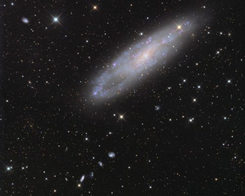 NGC 247 به همراه کهکشان مارپیچی براق NGC 253، بخشی از گروه کهکشان‌های مجسمه‌ساز است.