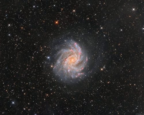 تصویر روز ناسا: روبه‌روی NGC 6946
