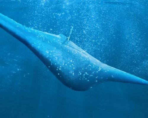 معرفی زیردریایی بدون خدمه Manta Ray متعلق به دارپا + ویدیو