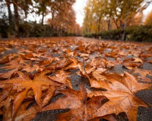 پاییز دیرتر از حد معمول آغاز می‌شود؟