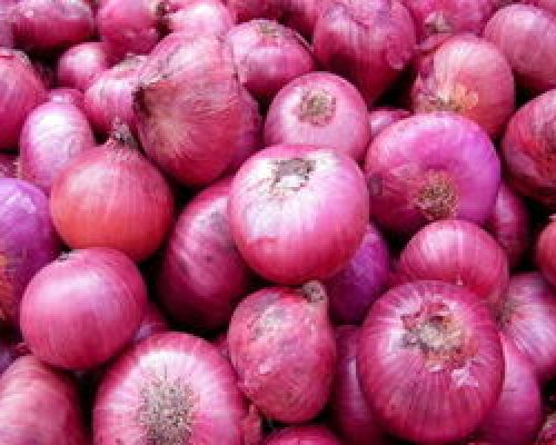 یک فایده پیاز که احتمالا نشنیده‌اید